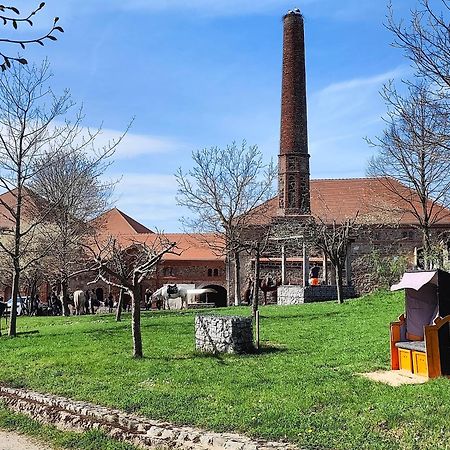 Tinyhousebeidresden 1 - Direkt Am Naturteich - Naehe Saechsische Schweiz, Dresden Grossharthau Exterior photo